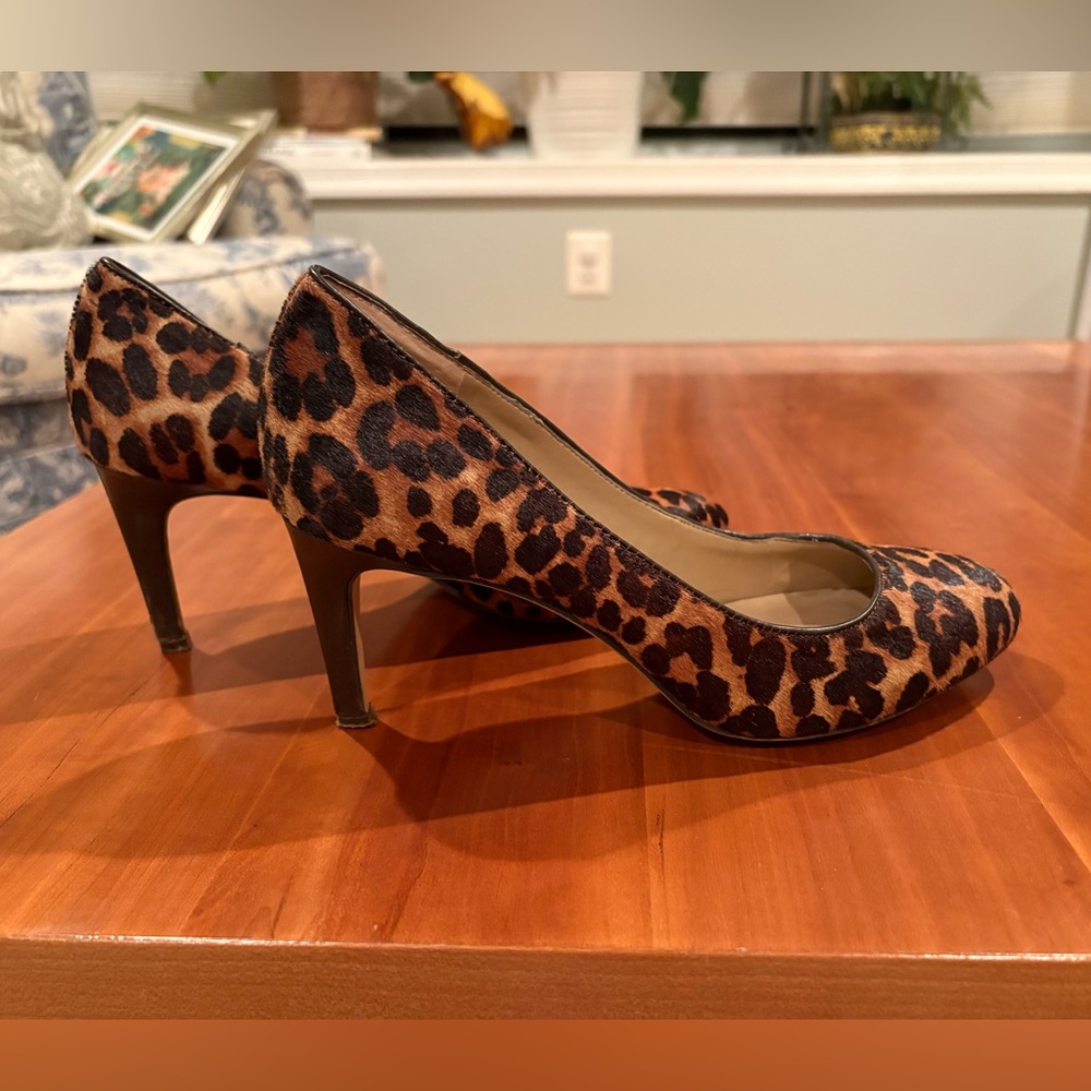 Sole Society Leopard Print Women's 2.5” Heels